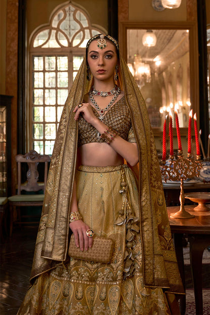Yellow with Chocolate Maharani Style Soft Silk Designer Lahenga Choli for Woman